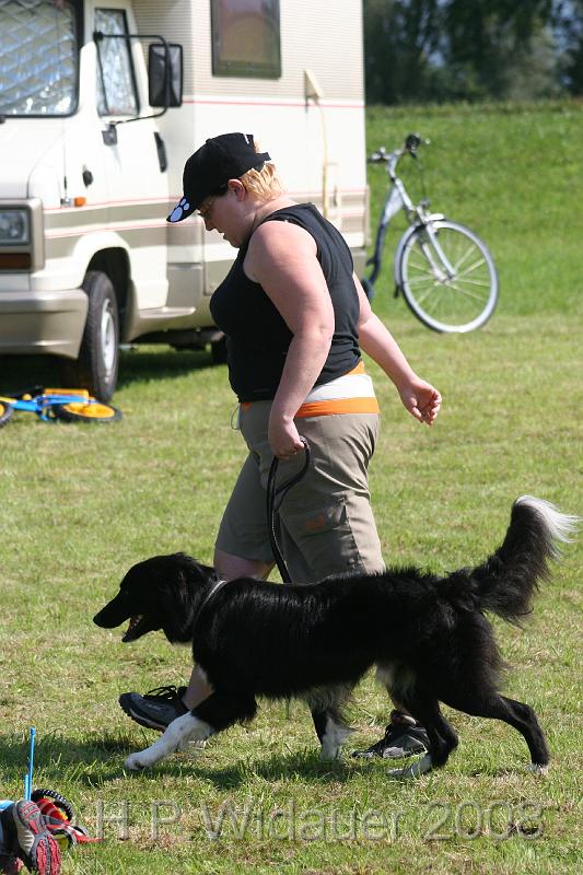 jubil.lusten. 235.jpg